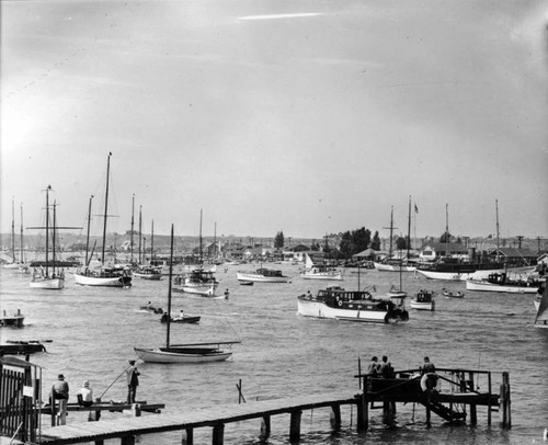 Boats, boats and more boats, Newport Harbor