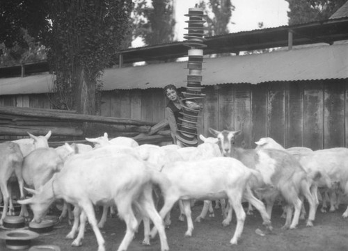 Woman, hats and goats