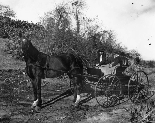 Children on horse-drawn carriage