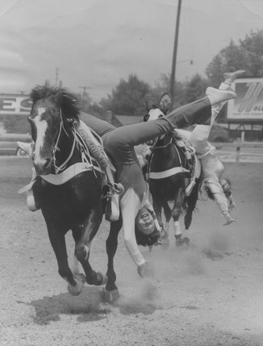 Rodeo trick riders