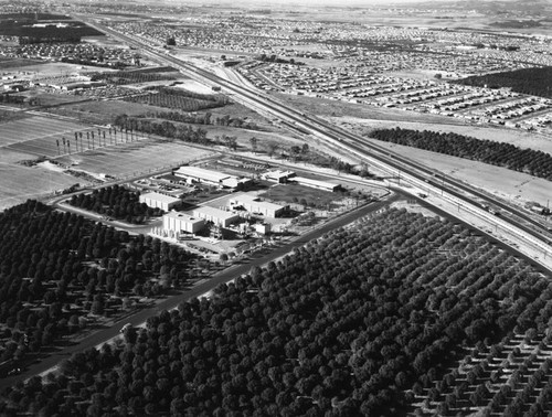 Crescent Way, Muller Street and Santa Ana Freeway, looking northwest