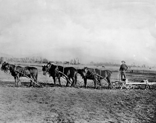 Plowing a field near Melrose and Vermont