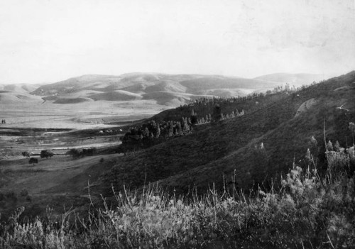 Panoramic view of Griffith Park