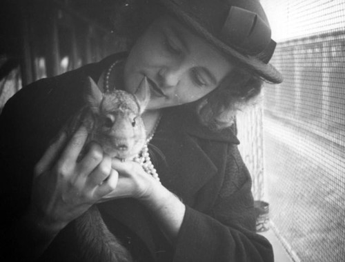 Ethel pets a chinchilla at the Chapman farm