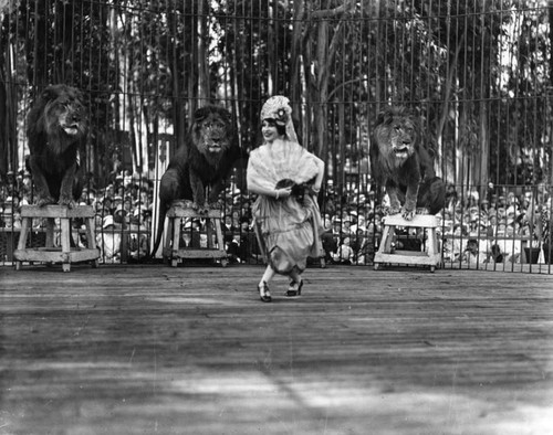 Performing at Luna Park Zoo, view 3