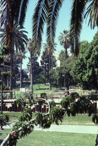 MacArthur Park