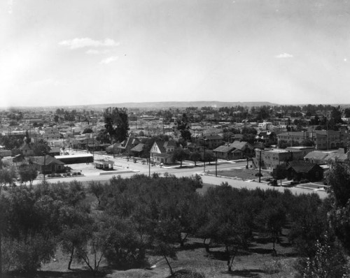 Residential areas in Hollywood, view 10