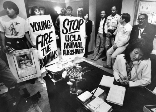 Sit-in at UCLA