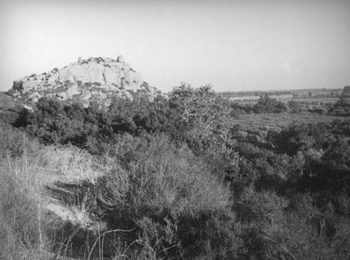 Santa Susana Pass outcropping