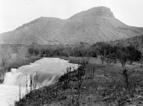 Colorado River near Glendale, Nev