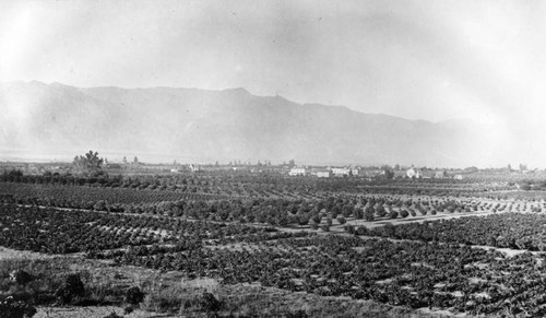 Pasadena looking east, 1880