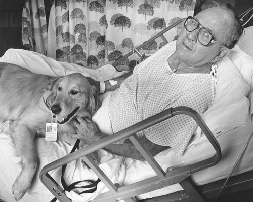 Hospital therapy with dogs