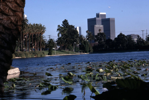 Downtown from Echo Park