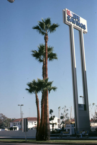 Outside bank on Wilshire Boulevard