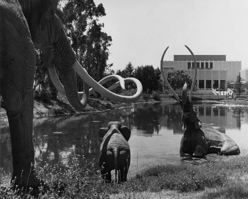 Mammoth sculptures