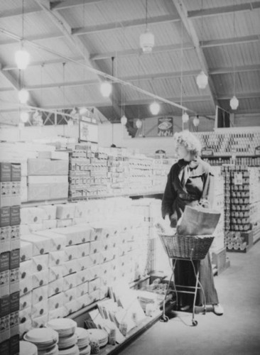 Ethel shopping at Hollywood Market