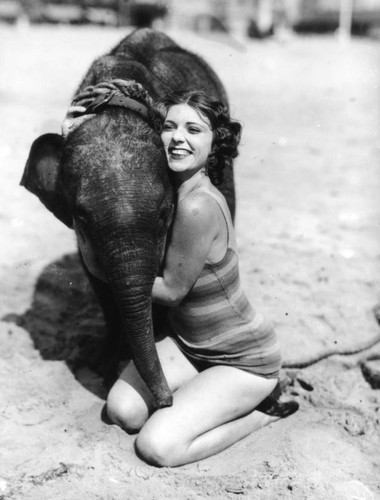 Woman and baby elephant