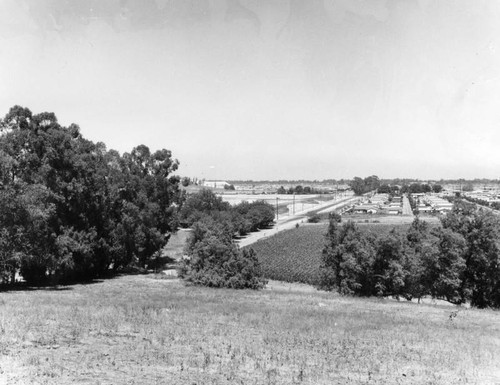 L.A. housing tract