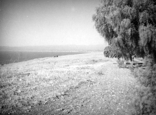 Palos Verdes meadow