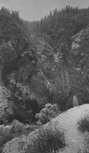 Canyon view in the San Gabriel Mountains