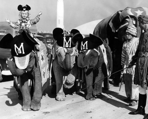 All aboard for the Mickey Mouse Club Circus at Disneyland