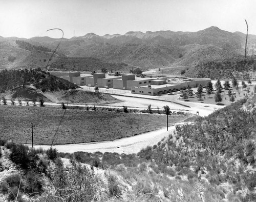 Prisoners keep busy at Sheriff's Castaic honor farm