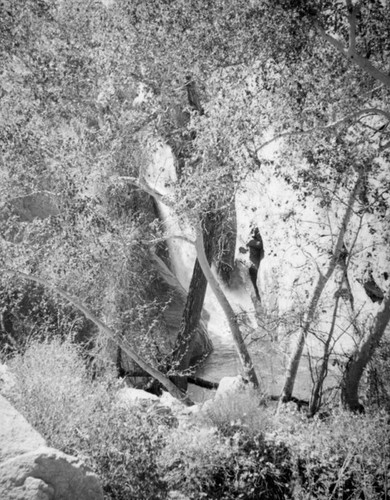 Tahquitz Falls