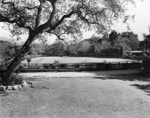 English Oaks, Arcadia