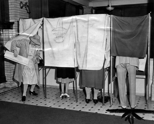 People voting