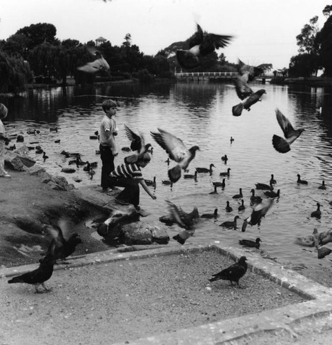 Feeding the birds