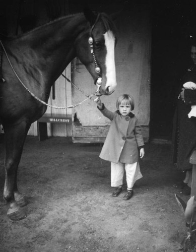 Child and horse at the Los Angeles County Fair