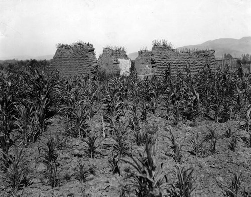 Crops and ruins, Mission San Gabriel Arcangel