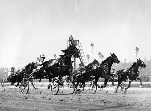 They're off and rolling at Hollypark