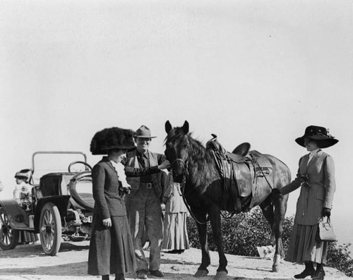 Women tourist admires a horse