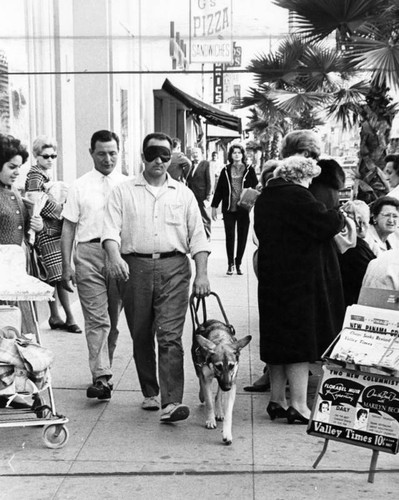 School matches guide dogs to blind masters