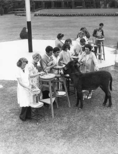 Students sculpting a donkey, view 7