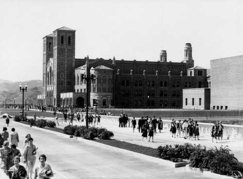 Bridge at U.C.L.A., view 6