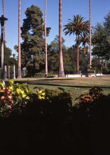 Will Rogers Memorial Park