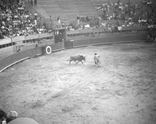 Toro versus Torero, El Toreo de Tijuana