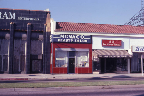 Businesses on Wilshire Boulevard