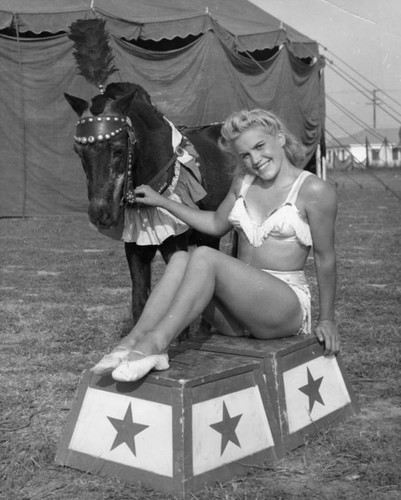 Circus equestrian act