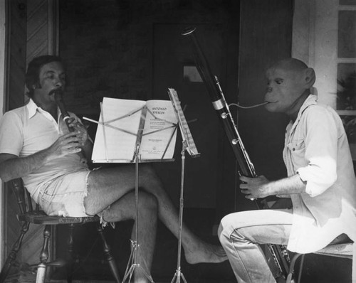 Venice street musicians