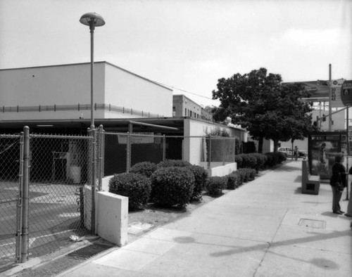 Parker Center Landscape