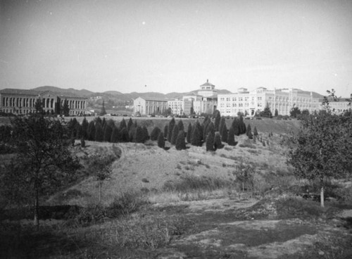 U.C.L.A. campus buildings