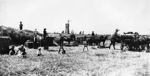 Farming at Pico and Alvarado