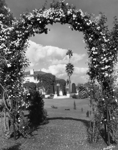 Arch of roses