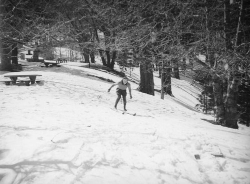 Big Pines Recreation Camp, skiing past picnic tables