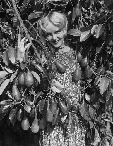 Avocado tree and woman