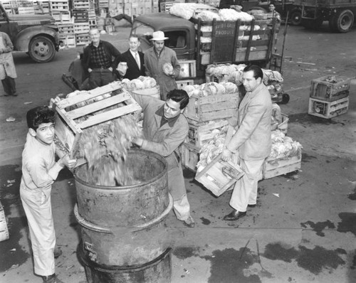 Ruined veggies during railroad strike