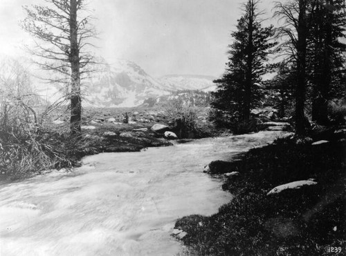 Rushing water in the high Sierras